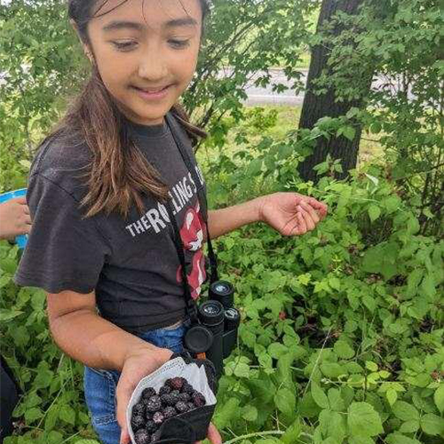 Young Person holding black raspberries in a bowl