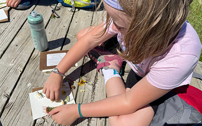 child laying flowers out on paper to press