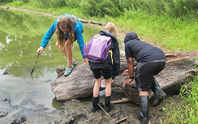Kids on a log poking sticks into a pond