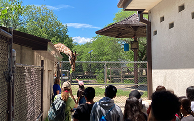 Kids looking at a giraffe at the zoo