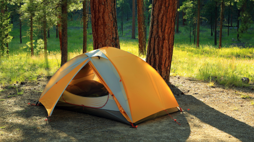 tent in the woods