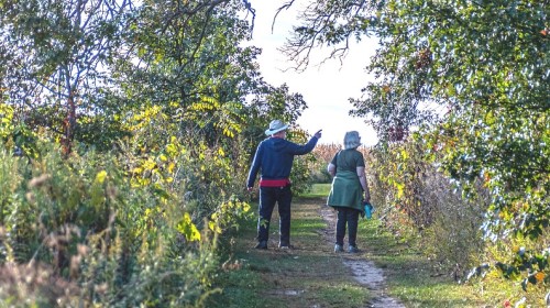 two people hiking on a trail in the woods