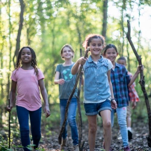 Kids taking a hike in the woods