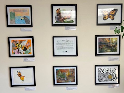 2020 Art Contest Art Gallery